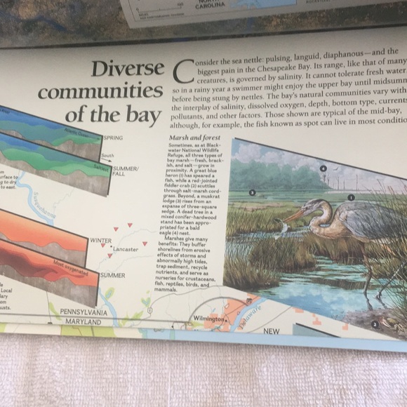 National Geographic Vol. 183 No. 6 June 1993 - Picture 7 of 16